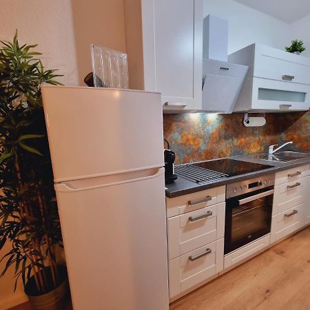 Lifestyle-Appartment Near Basf In Ludwigshafen المظهر الخارجي الصورة