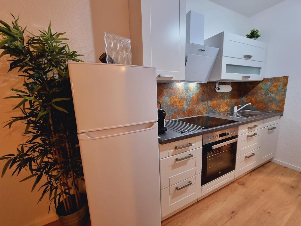 Lifestyle-Appartment Near Basf In Ludwigshafen المظهر الخارجي الصورة